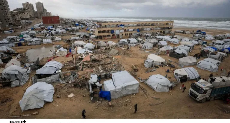 Wave of Prayer: Prayers for Gaza, the West Bank, and Faithful Solidarity