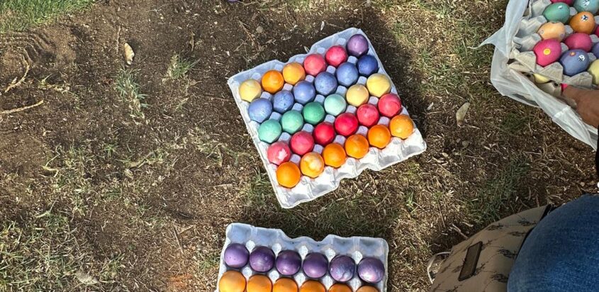 Annual Easter Egg Hunt