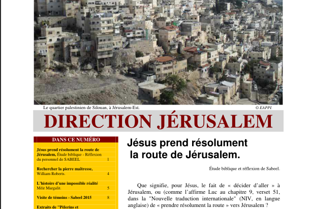 Issue 71, Spring 2015, “Towards Jerusalem” (French)